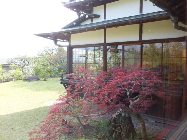 数寄屋造りの建物_カフェ清閑亭