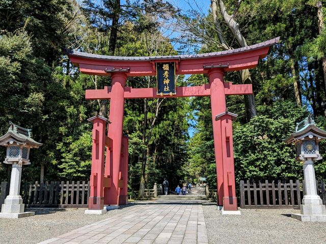 りっぱな鳥居_彌彦神社