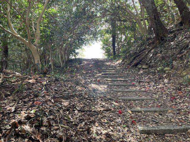 イワダイさんの稲ヶ崎公園(月浜地区)の投稿写真2
