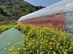 タカさんのまるやま園への投稿写真1