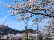 yu‐cyanさんの上堰潟公園の投稿写真1