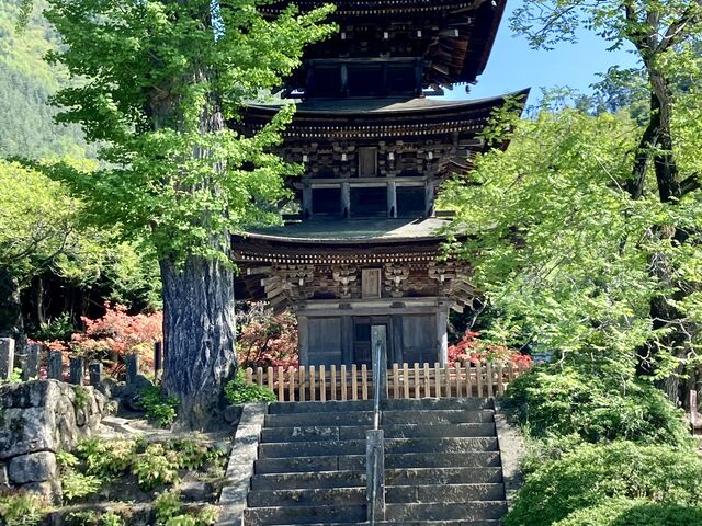 花の寺_前山寺