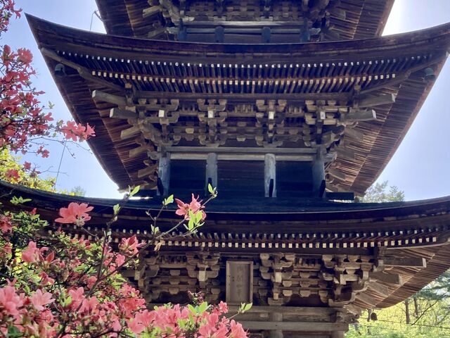 花の寺_前山寺