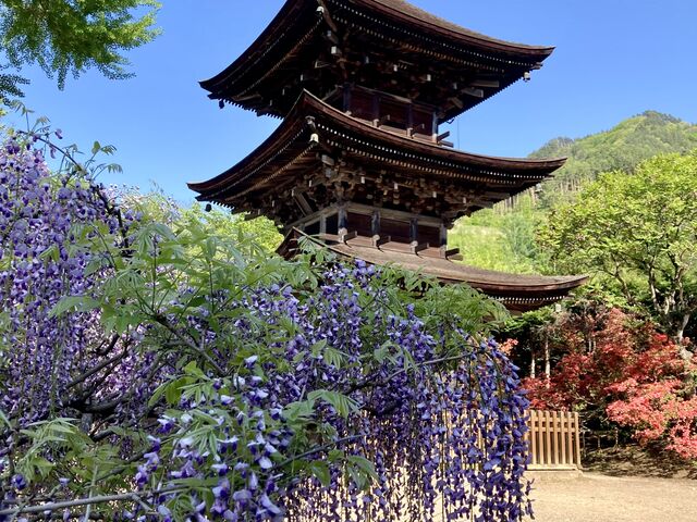 花の寺_前山寺