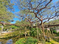 兼六園の写真1
