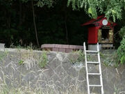 ドライブ大好きのぶさんの泣く木の投稿写真1