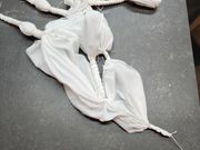 paradisoさんの彩 Aya Irodoriの投稿写真1