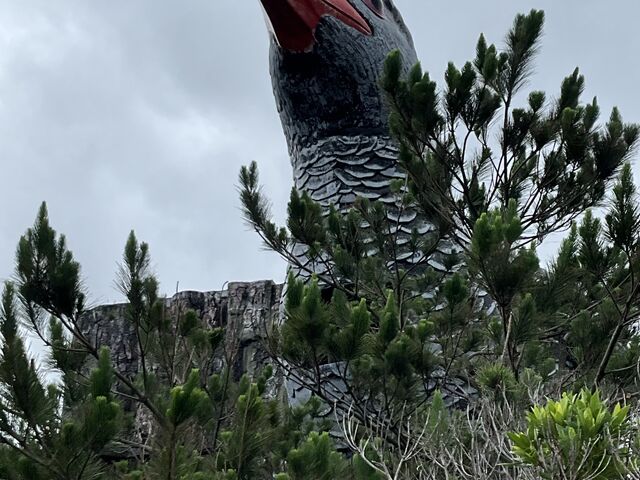 ヤンバルクイナ展望台