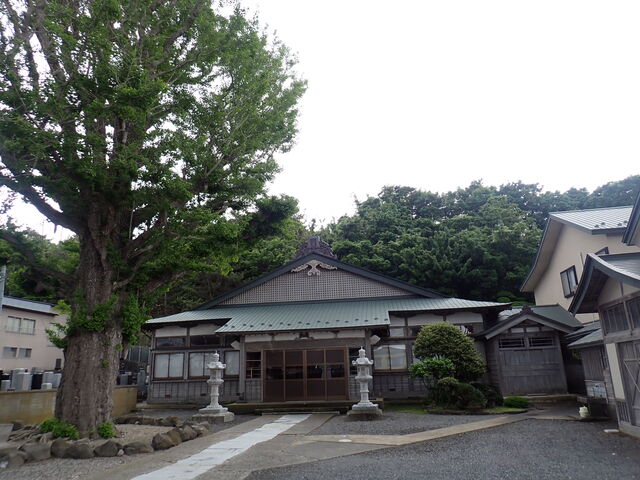 マイBOOさんの来生寺の投稿写真1