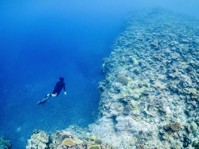 スキンダイビング_Saltwater social club