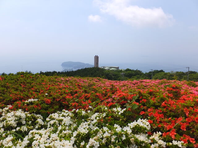 さつき越しの海_星ヶ山公園さつきの郷