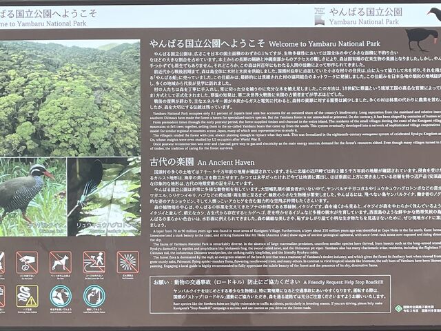 やんばる国立公園