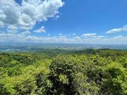 にーさんしーさんの猿投山の投稿写真1