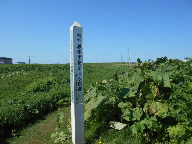 ヲンネモトチャシ跡