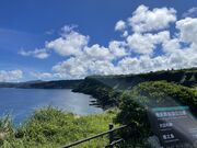 コジローさんの犬田布岬の投稿写真1