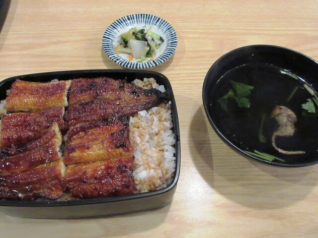 吉田屋 美濃錦