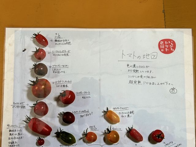 栽培されているトマトの多さに驚きました_石川トマト農園