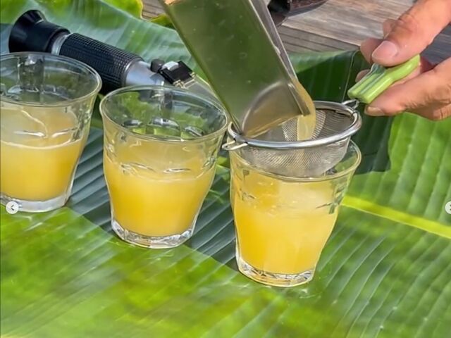 素朴で美味しいしぼりたてのさとうきび_農業生産法人 株式会社 オルタナティブファーム宮古