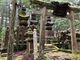 すみっこさんの薩摩島津家の墓への投稿写真3