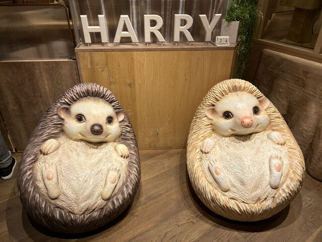 入り口でお出迎えしてくれます。_HARRY横浜店