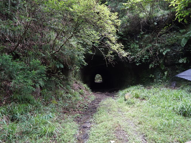 奥の細道 手掘りのトンネル_fabula glamping