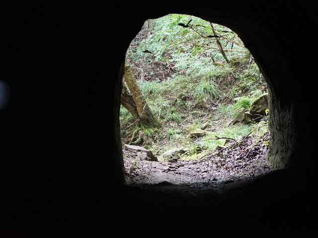 奥の細道 手掘りのトンネル
コウモリとサワガニがいます_fabula glamping