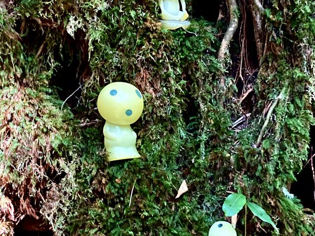 こだま_Yamakara屋久島
