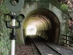 井川湖畔自然歩道の写真2