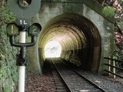ちぇん&りーさんの井川湖畔自然歩道の投稿写真2