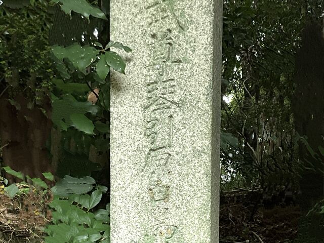 Shotaさんの日本武尊白鳥陵の投稿写真1