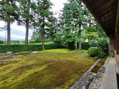 圓通寺の写真1