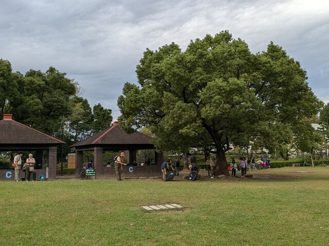 Cサイトは大きな広場になっています。_平和島公園キャンプ場