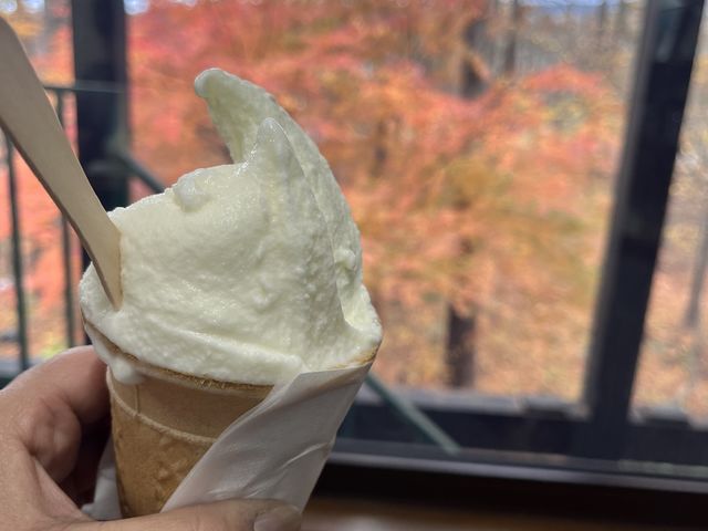 ワサビと日本酒のジェラート_松ぼっくり