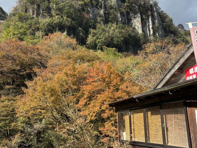 紅葉のピークまでもう少しというところです_一目八景