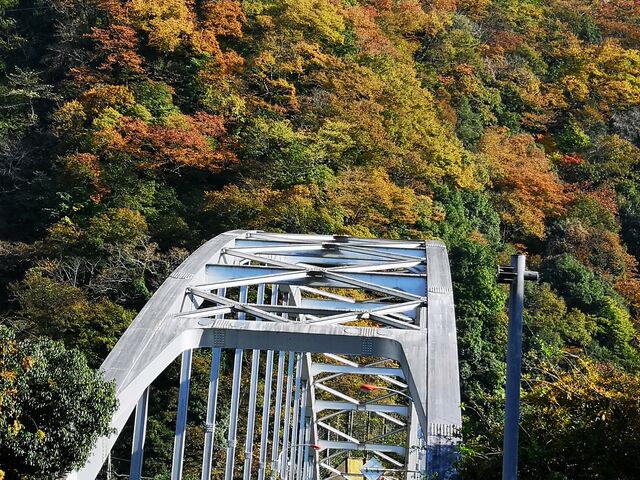京都嵐山に匹敵する程美しい、相模湖嵐山。超感動!!午後1時半頃撮影。_嵐山