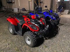 けいちゃんさんの奄美バギー&ナイトウォッチングガイドサービスへの投稿写真1