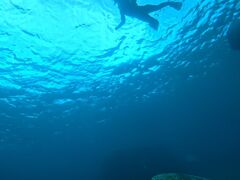 宮古島 ADVENTURE PiPiの写真2