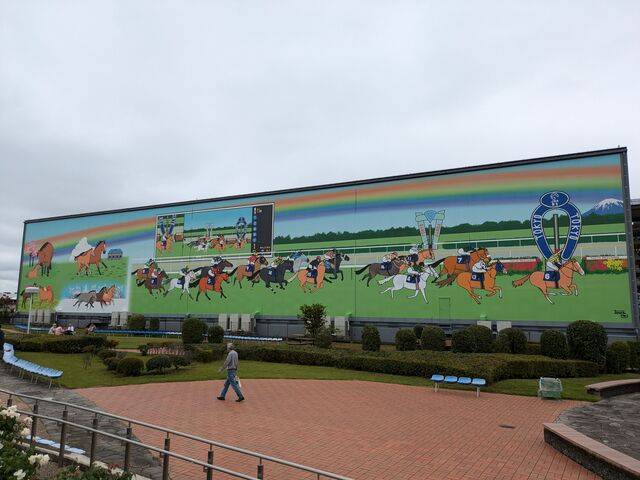 ターフビジョン裏手_東京競馬場