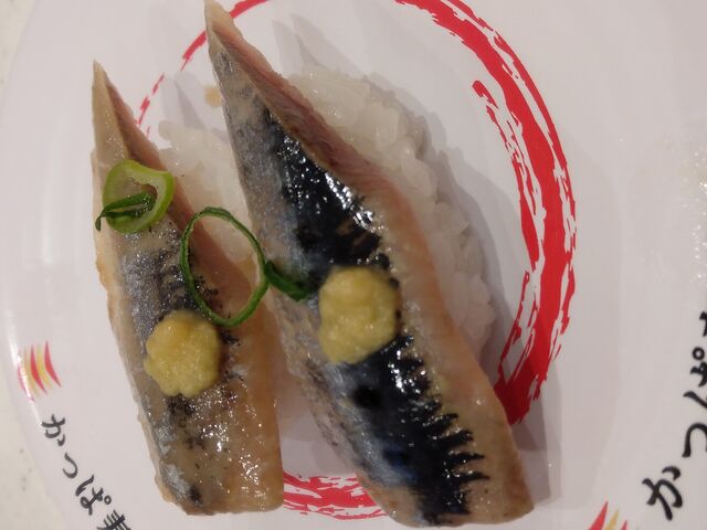 〆いわし・120円_かっぱ寿司 静岡有明店
