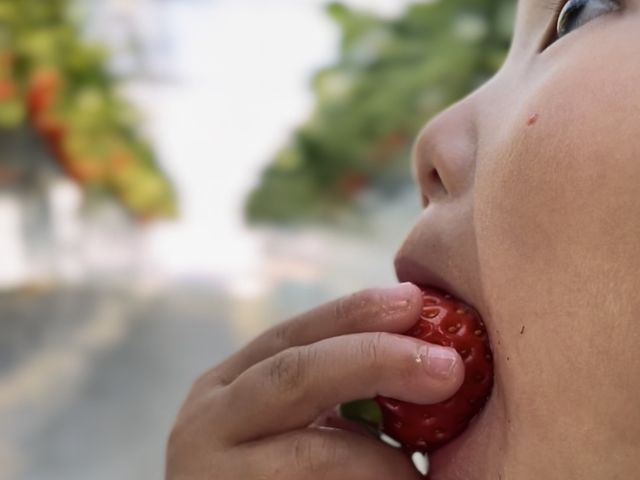 2歳の息子も丸かじり_三ヶ尻いちご園