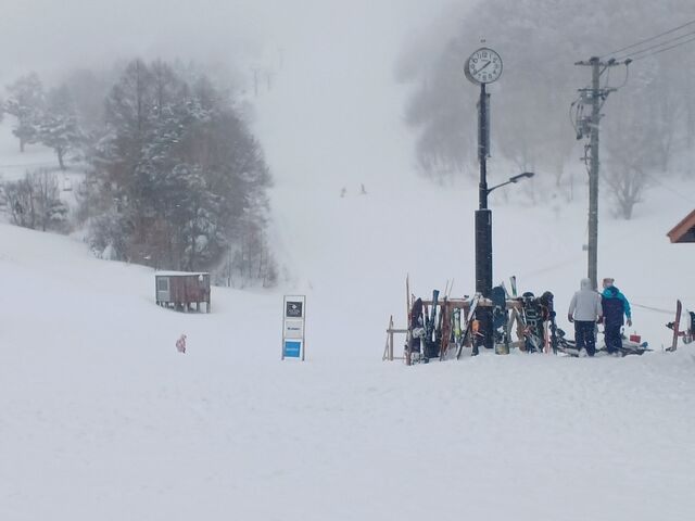 小雪 まじりの天候_YAMABOKUワイルドスノーパーク