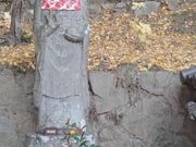 ともちゃんさんの神山一乗寺の投稿写真11