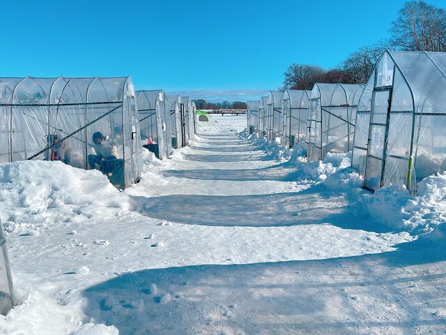 釣り場のハウス_匠・TAKUMI工房