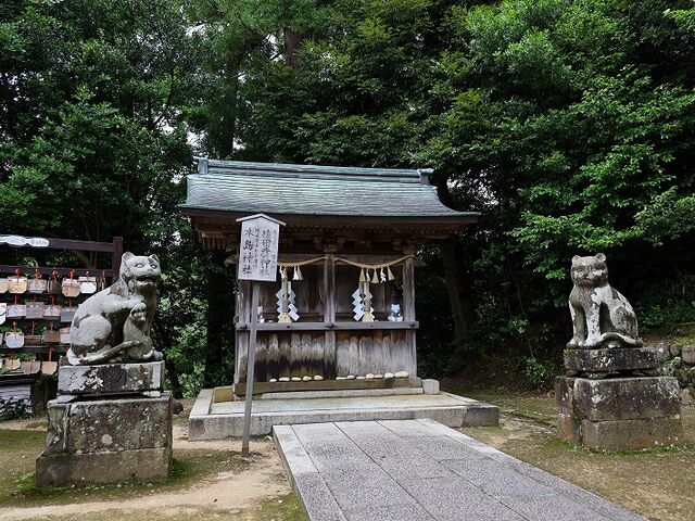 狛猫が守る木島人格_金刀比羅神社