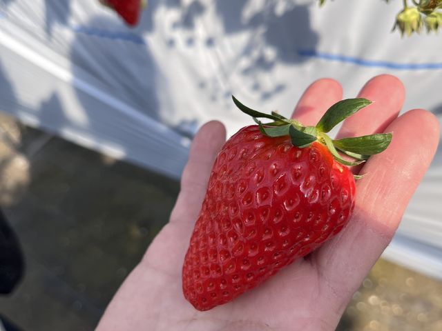 おっきい!!!_自然館泉