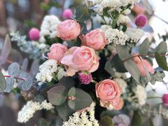 camphor-Jの写真1