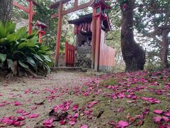 あまみ温泉 南天苑の写真2