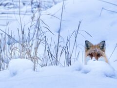 フォトツアー~KEARASHI~の写真3