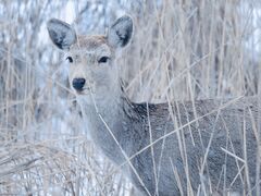 フォトツアー~KEARASHI~の写真4