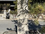 Shotaさんの曹源寺(岡山県岡山市)の投稿写真1